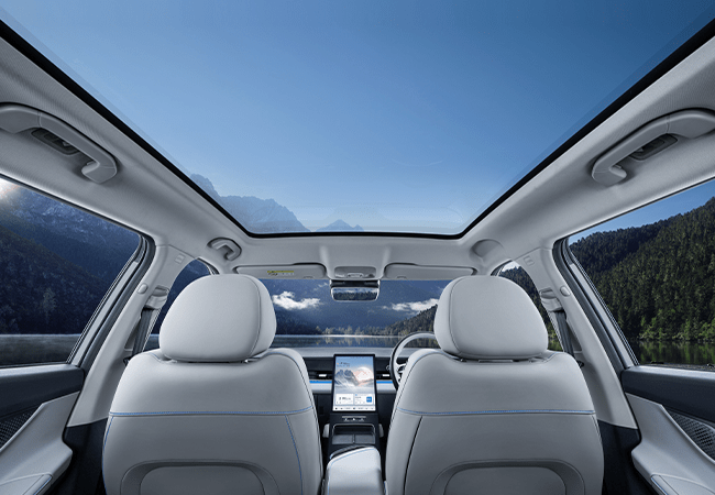 Car feature