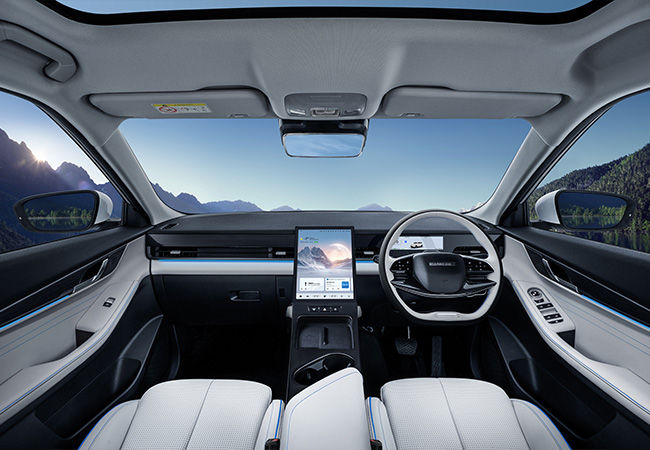 Car feature