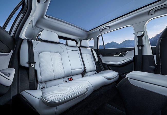 Car feature